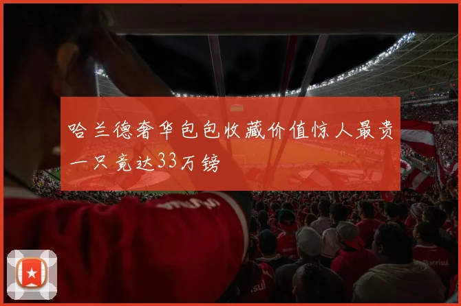 哈兰德奢华包包收藏价值惊人最贵一只竟达33万镑