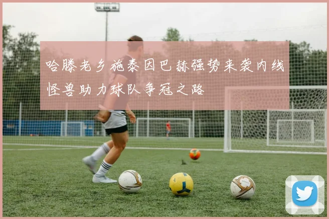 哈滕老乡施泰因巴赫强势来袭内线怪兽助力球队争冠之路