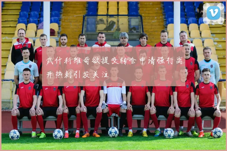 武什科维奇欲提交转会申请强行离开热刺引发关注