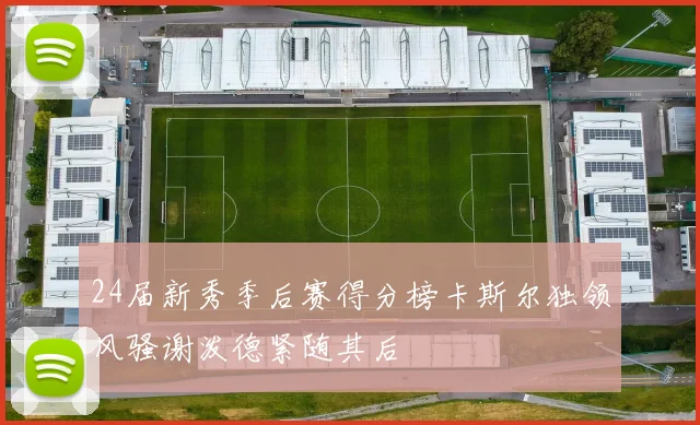 24届新秀季后赛得分榜卡斯尔独领风骚谢泼德紧随其后